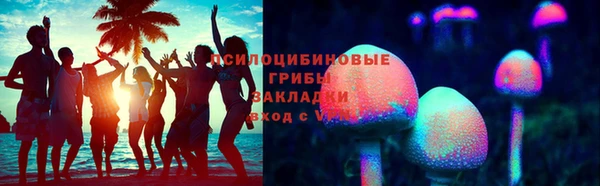 хмурый Аркадак