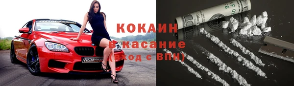 гашик Арсеньев