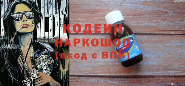 хмурый Аркадак
