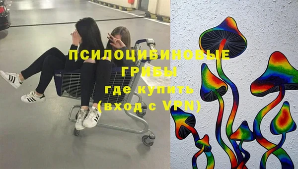 хмурый Аркадак