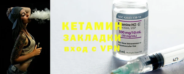 хмурый Аркадак