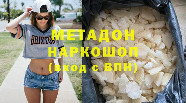 хмурый Аркадак