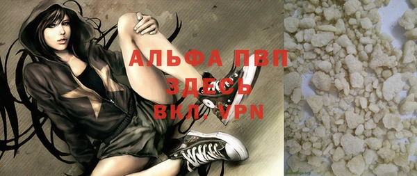 хмурый Аркадак