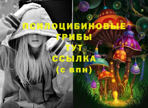 хмурый Аркадак