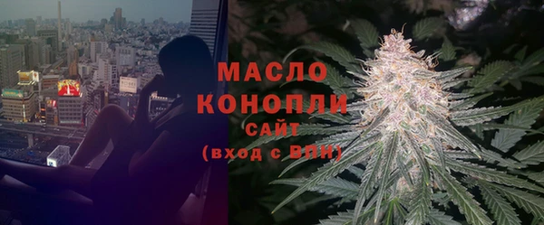 гашик Арсеньев