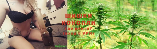 хмурый Аркадак