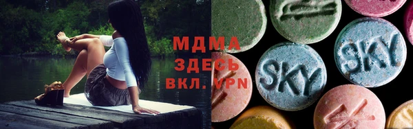 хмурый Аркадак