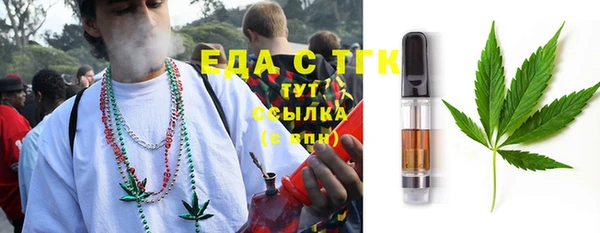 хмурый Аркадак