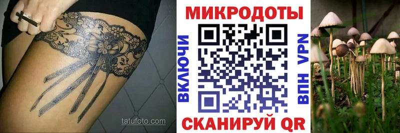 где найти   Саров  Галлюциногенные грибы Psilocybe 